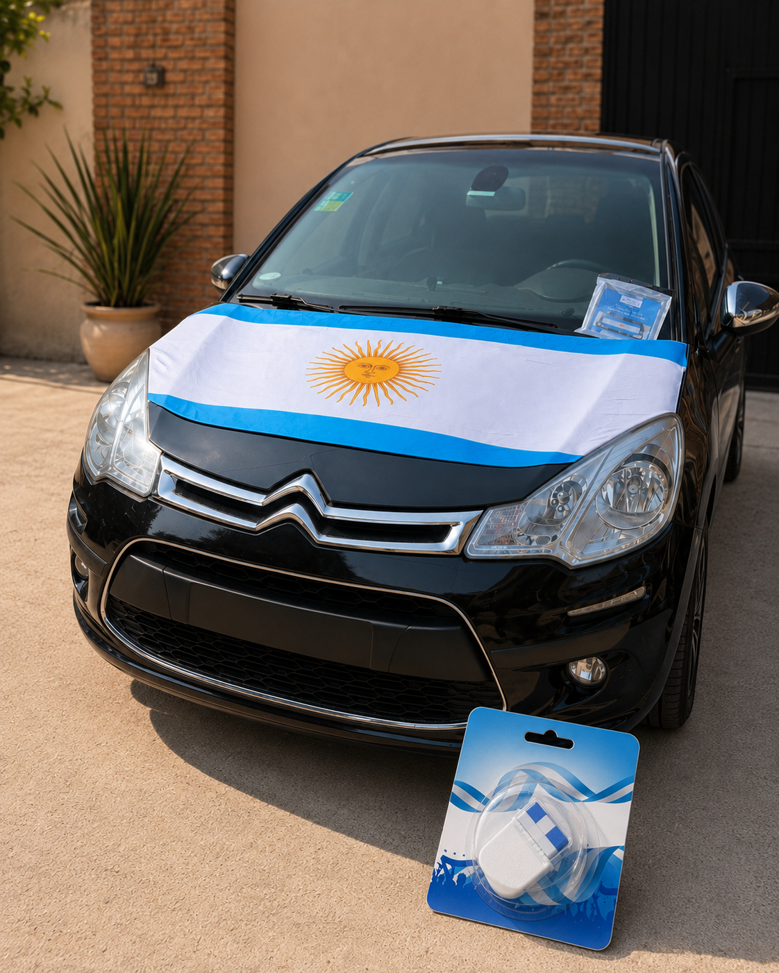 Combo bandera argentina para capot y 2 pinturas faciales